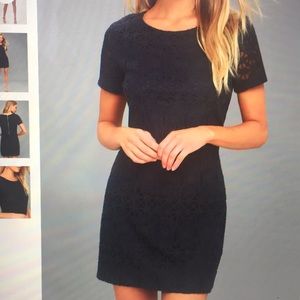 Brand NEW Navy dress